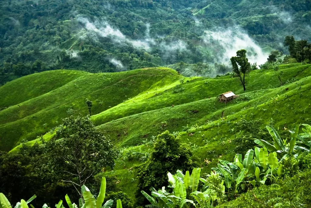 Sajek Valley Hill Tour